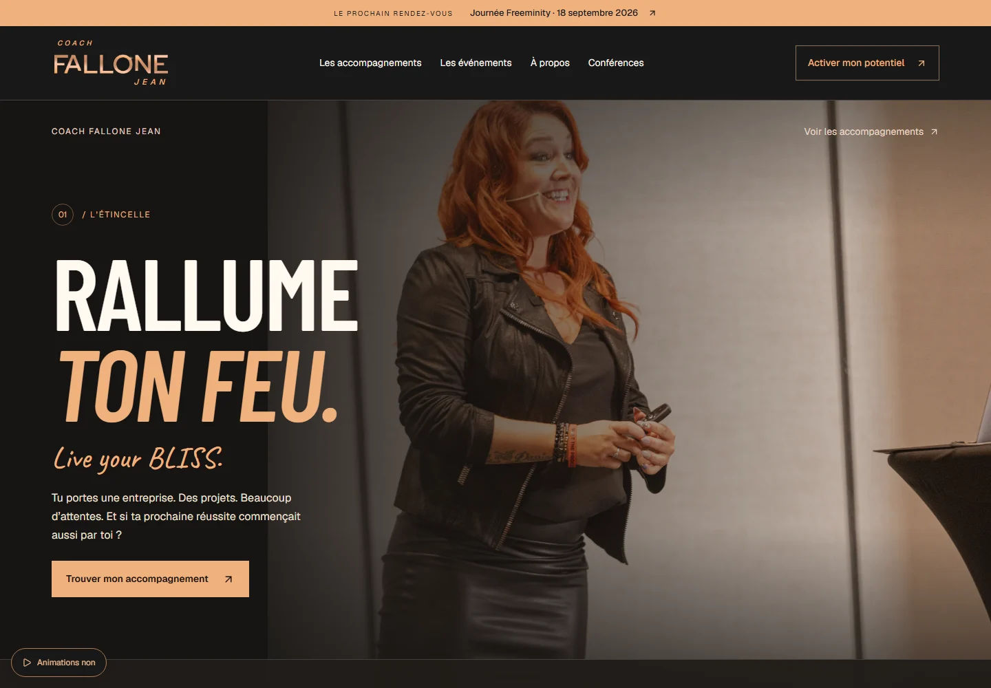 Capture du site Fallone Jean — version FR